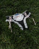 Ballet Dream Ribbon Panty - Black